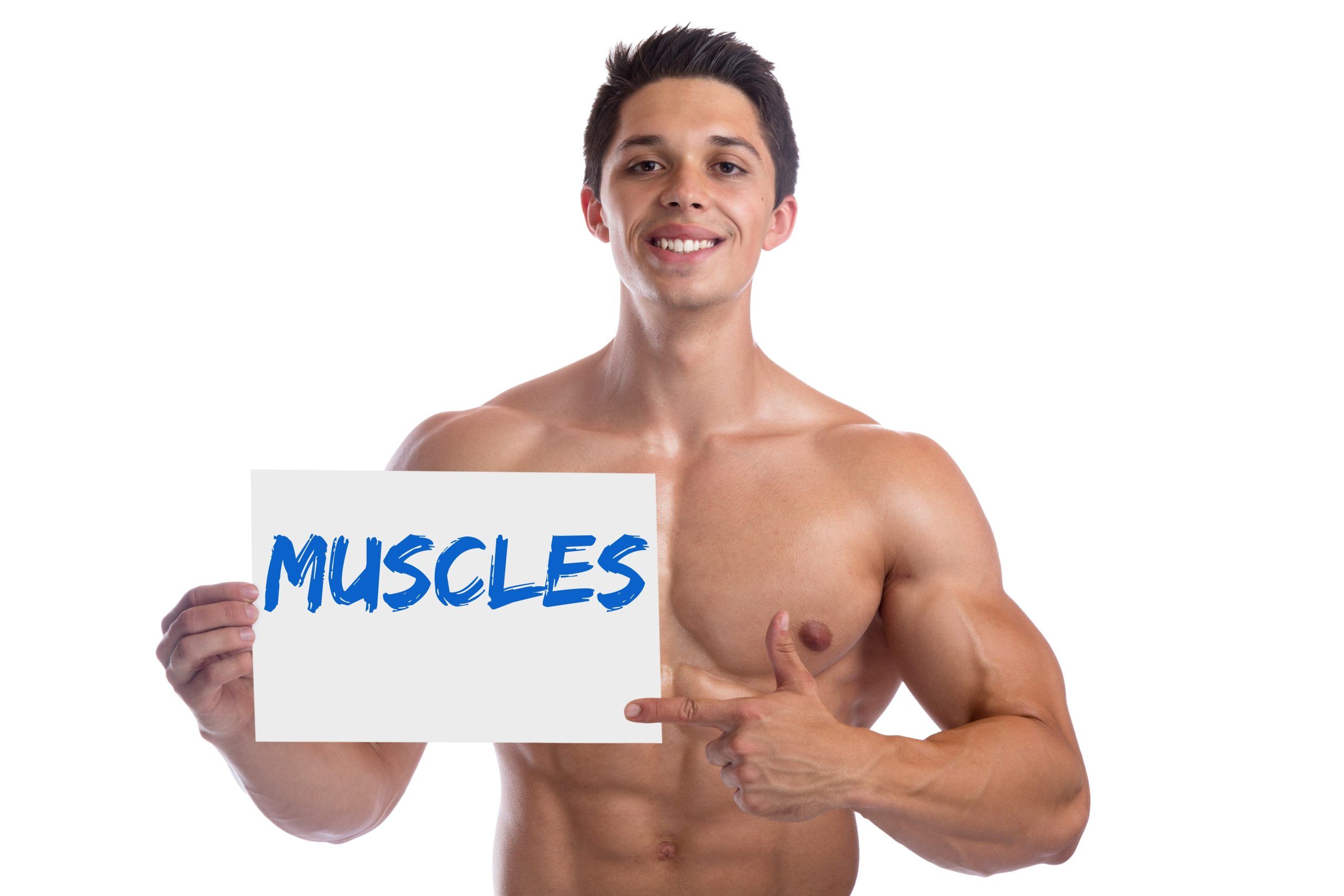 wellhealth how to build muscle tag